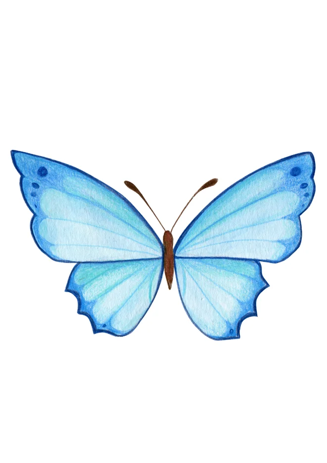 Borboleta Azul Para Imprimir para imprimir e colorir - imagem 8